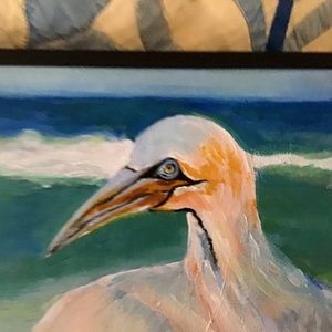 Acrylic painting of a shore bird